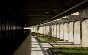UNB Garden